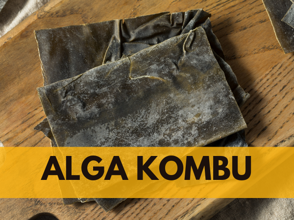 alga kombu